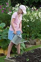 Girl watering newly planted Dianthus barbatus and Lunaria annua var. albiflora in raised bed. 