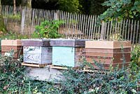 Beehives in a garden.