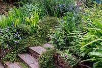 View of garden steps made of reclaimed railway sleepers, leading up through double flowering borders.