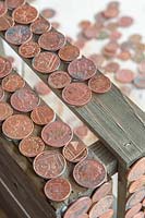 Copper coins glued to wooden box