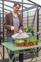 Woman cutting plastic liner in hanging basket to ensure good drainage. 