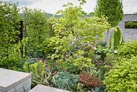 Acer, Euphorbia and Artemisia. Royal Porcelain Works - The Collector's Garden, RHS Malvern Spring Festival, 2018.