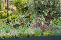 Copper spiral tubes and Mediterranean Fig tree and herbs. 'The Perfumer's Garden', RHS Malvern Spring Festival, 2018. 