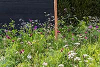 Meadow-style planting with Anthriscus, Alliums and Cirsium. 'Urban Oasis', RHS Malvern Spring Festival 2018.