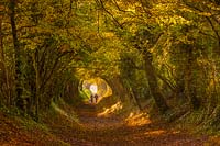 People walking through Halnaker hollow way Chichester, West Sussex, UK