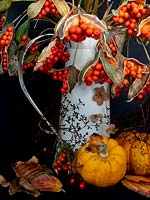 Autumnal arrangement in enamel jug with cut Iris foetidissima - stinking Iris -  pumpkins and leaves. 