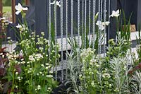 Green and white planting in show garden -' A Family Garden', sponsored by CCLA, RHS Chatsworth Flower Show, 2018.