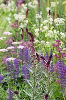Mixed planting of Lysimachia 'Beaujolais', Salvia 'Mainacht', Astrantia 'Ruby Cloud' and Pimpinella major 'Rosea' - The John Deere Garden: 100 years of Tractors, sponsored by John Deere, RHS Chatsworth Flower Show, 2018. 
