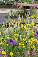Planting combination of Geum 'Lady Stratheden', Heuchera 'Thomas', Iris sibirica 'Blue KIng' and Primula beesiana - The Great Outdoors Garden, Sponsered by Allgreen Group Handspring Design Knowl Park Nurseries, RHS Chatsworth Flower Show, 2018.