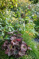 Naturalistic planting Heuchera 'Walnut' Fox Series. Great gardens of the USA, 'Charleston and South Carolina Garden'. RHS Hampton Flower Show 2018