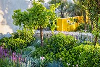 Stone-filled gabion wall with Vitis venifera, Pittosporum, Agapanthus, Salvia, Thyme and purple Sage. 'Living La Vida 120'. RHS Hampton Flower Show 2018 