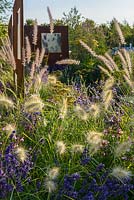 Pennisetum orientale 'Shogun' and Pennisetum villosum with Lavendula and COR-TEN steel screens. 'RNIB Community Garden', RHS Hampton Flower Show 2018
