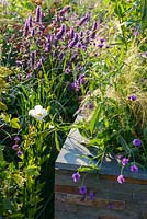 Stone veneered raised bed with Agastache 'Black Adder'and Romneya coulteri'. RNIB Community Garden', RHS Hampton Flower Show 2018.