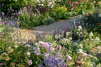 Scabiosa, Achillea, Centranthus ruber and Amni majus beside path. 'Best of Both Worlds', RHS Hampton Flower Show 2018