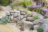 Erigeron in rocks and stones. 'Rias de Galicia: A Garden at the End of the Earth', RHS Hampton Flower Show, 2018