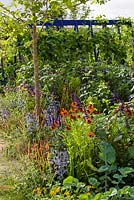 Paper mulberry with runner beans on supports - Foeniculum, Eryngium and Salvia. 'RHS Grow Your Own with The Raymond Blanc Gardening School', RHS Hampton Flower Show, 2018