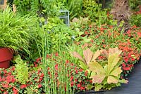 Aquatic pond edge with Equisetum, Rodgersia and Hakonechloa. 'B and Q Bursting Busy Lizzie Garden', RHS Hampton Flower Show, 2018 
