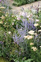 View of flowering perennial border in show garden.  Best of Both Worlds garden, RHS Hampton Court Palace Flower Show, 2018.


