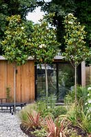 Garden room with gravel patio area with Magnolia grandiflora Contemporary garden in Dulwich 