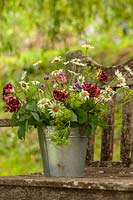 Zinc vase of Leucanthemum, Bupleurum and Harlequin roses on garden bench