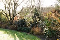 Border in the Foliage garden combines phormiums, grasses and shrubs. RHS Garden Rosemoor, Devon, UK. 