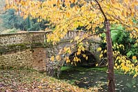 View of Eleanor's bridge and autumnal Prunus growing along river bank. Minterne, Dorset, UK. 