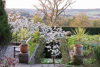 View from upper terrace to countryside beyond with flight of steps down to lower terrace.
 Plants on terrace include Cordyline in pots and Prunus 'Taihaku' - great white cherry
