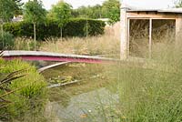 Contemporary garden design with wooden bridge across pond to summerhouse
 with planting based on ornamental grasses such as Chasmanthium latifolium, 
. In background a row of Robinia x margaretta 'Pink Cascade' 
