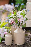 Apple blossom and Forget-me-nots in small pottery vases.