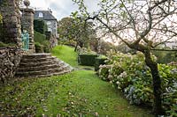 Stone steps with Hydrangeas and yew hedging. Plas Brondanw, Gwynedd, Wales