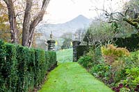 Grass path and box hedge. Plas Brondanw, Gwynedd, Wales