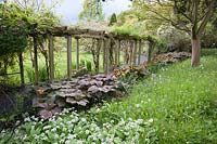 Long, wooden pergola surrounded by long grasses, Rodgersia and tulips. Holker Hall, Grange over Sands, Cumbria, UK. 