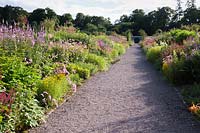 View down gravel pathway, surrounded by double perennial borders. Floors Castle, Kelso, Roxburghshire, Scotland, UK. 