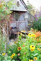 View over flowering Rudbeckia to seating area with wooden chair and table in cottage garden. Hilltop, Stour Provost, Dorset, UK. 