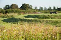 Annual meadow flowers with spiral earthwork. The Oast House, Isfield, Sussex, UK