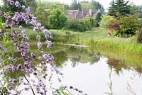 Meadow and pond with conifers and birches, Cothay Manor, Somerset