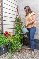 Watering vertical planter with watering can
