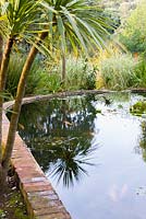 Victorian lily ponds with Cordyline australis 'Sundance'. Abbotsbury Subtropical Gardens, Abbotsbury, nr Weymouth, Dorset, UK
