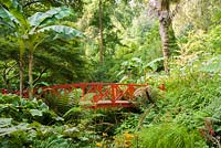 Red bridge flanked by bananas, Musa basjoo, lush foliage and ferns. Abbotsbury Subtropical Gardens, Dorset, UK