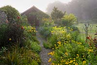 Path with Helenium, Madia elegans, dahlias and daylilies. The Cider House, Buckland Abbey, Yelverton, Devon, UK