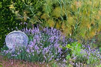 Sunken herb garden with thyme, lavender and fennel. Cider House, Buckland Abbey, Devon, UK