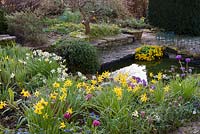 Small pond with Caltha palustris 'Flore Pleno' - double marsh marigold, plus nearby small flowering plants including: Primula denticulate - drumstick primulas, 
Scilla sibirica, Fritillaria meleagris  - snakeshead fritillary and Narcissi - daffodils
 