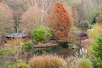 View across pond to rusty-coloured Taxodium distichum - swamp cypress - 
with bamboos, ornamental grasses and woodland beyond 
