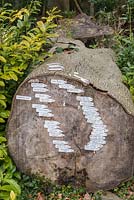 Historical time line marked through the trunk of a felled tree. Painswick Rococo Garden, Painswick, Glos, UK. 