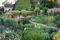 Kitchen garden with Papaver, peonies, Orache and Asphodeline. Edmondsham House, Cranborne, Dorset, UK