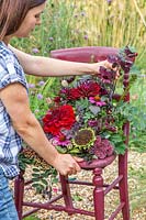 Woman adding lablab bean seedpods to floral arrangement on vintage dark red chair. 