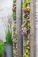 Pallet planters with succulents on wall