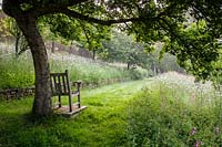 Wooden bench overlooking wild meadow garden.