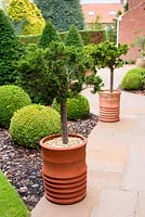 View of front garden with strong evergreen planting including pots of standard Chamaecyparis obtusa 'Nana Gracilis', clipped box balls and yew pyramids, designed by Sarah Murch. 