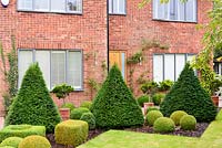 Front garden with strong evergreen planting of clipped box spheres and cubes and yew pyramids designed by Sarah Murch.
